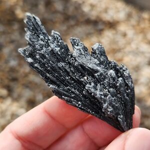 Black Kyanite